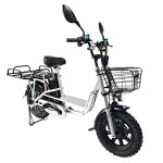 16-inch beach tire Yilan Princess second-generation electric bicycle without shock absorption, brushless, gearless motor and lithium battery